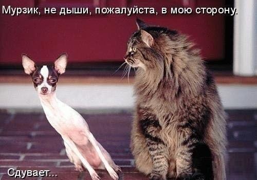 ������ �� ��� :D - 12 ������ 2017 � 22:38