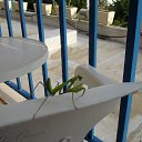  , , 67  -  20  2016   -2016, 