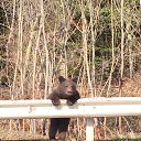 ���� ������, ����-��������� - ��������� 2 ������� 2016 � ������ ���� ����������