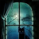 ���� �������, �����-���������, 38 ��� - ��������� 26 ������� 2016 � ������ ������� �����