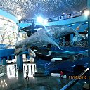 ���� Anatol, ������� - ��������� 5 ������� 2016 � ������ �����������. �. �������. �����������.�