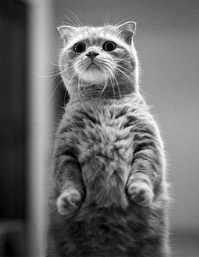  -  - 21  2017  18:21