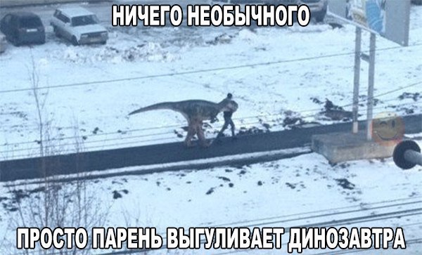    :D - 31  2017  14:36