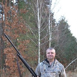 ���� ������, �������, 54 ���� - ��������� 24 ������ 2016