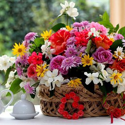 �������, ���������, 57 ���