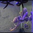  , , 82  -  23  2017   2003 1 .