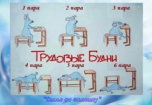   ,      . - 9