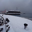  , , 60  -  3  2017     ,28.01.17.