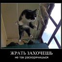���� Renat, �����-���������, 45 ��� - ��������� 8 ������� 2017 � ������ ���� ����������