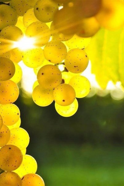 �� ���� 77 ����!!! - 6