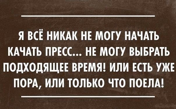    |   - 20  2016  11:35
