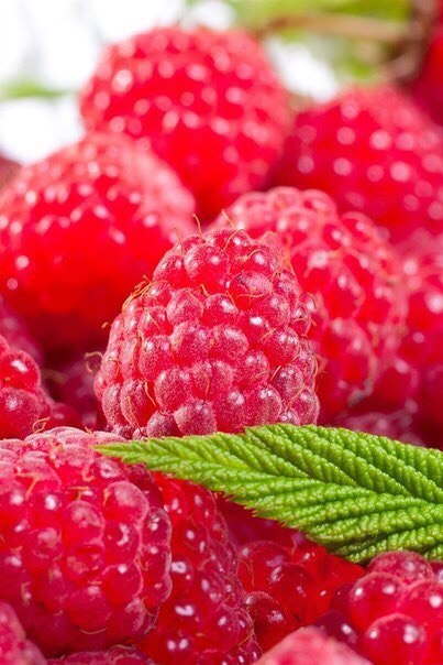 �� ���� 77 ����!!! - 5