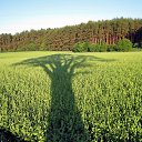  ,  -  13  2016     ... ,   !