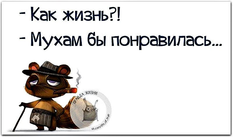  - 29  2017  08:14