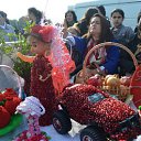  ,  -  14  2016       ̻