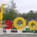 ���� �����, ������, 47 ��� - ��������� 8 ������� 2016 � ������ ������ � Zoo�