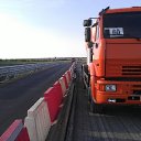  ., , 50  -  28  2017   ................