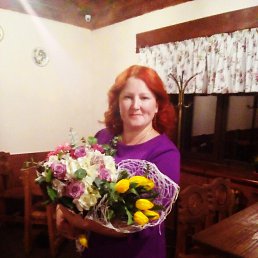 ������� ����������, ����������, 41 ���