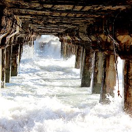 ���� ����, ��������, 41 ��� - ��������� 12 ������ 2016