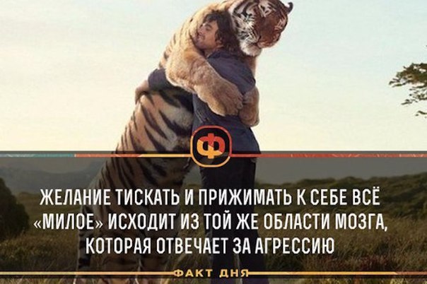   - 23  2016  19:11