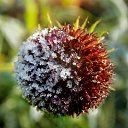 ���� �����, �����, 64 ���� - ��������� 22 ������� 2016 � ������ ������� ���������