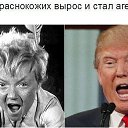 ���� ������, ������, 63 ���� - ��������� 20 ������� 2017 � ������ ������ ��������