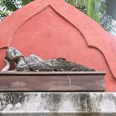    -  ,  -  8  2017    2014.  Zazen.  12-.