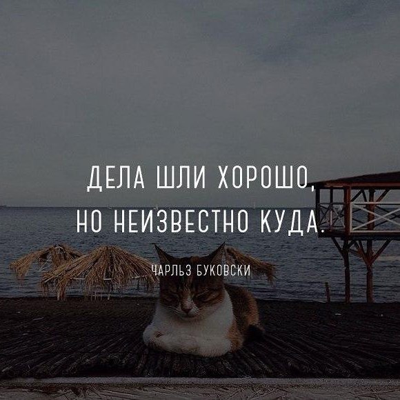 LIFE -  - 29  2016  16:29