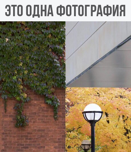    - 1  2017  18:55