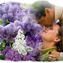  Airin (),  -  15  2016    