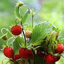 ���� ����, ������ �������� - ��������� 20 �������� 2016