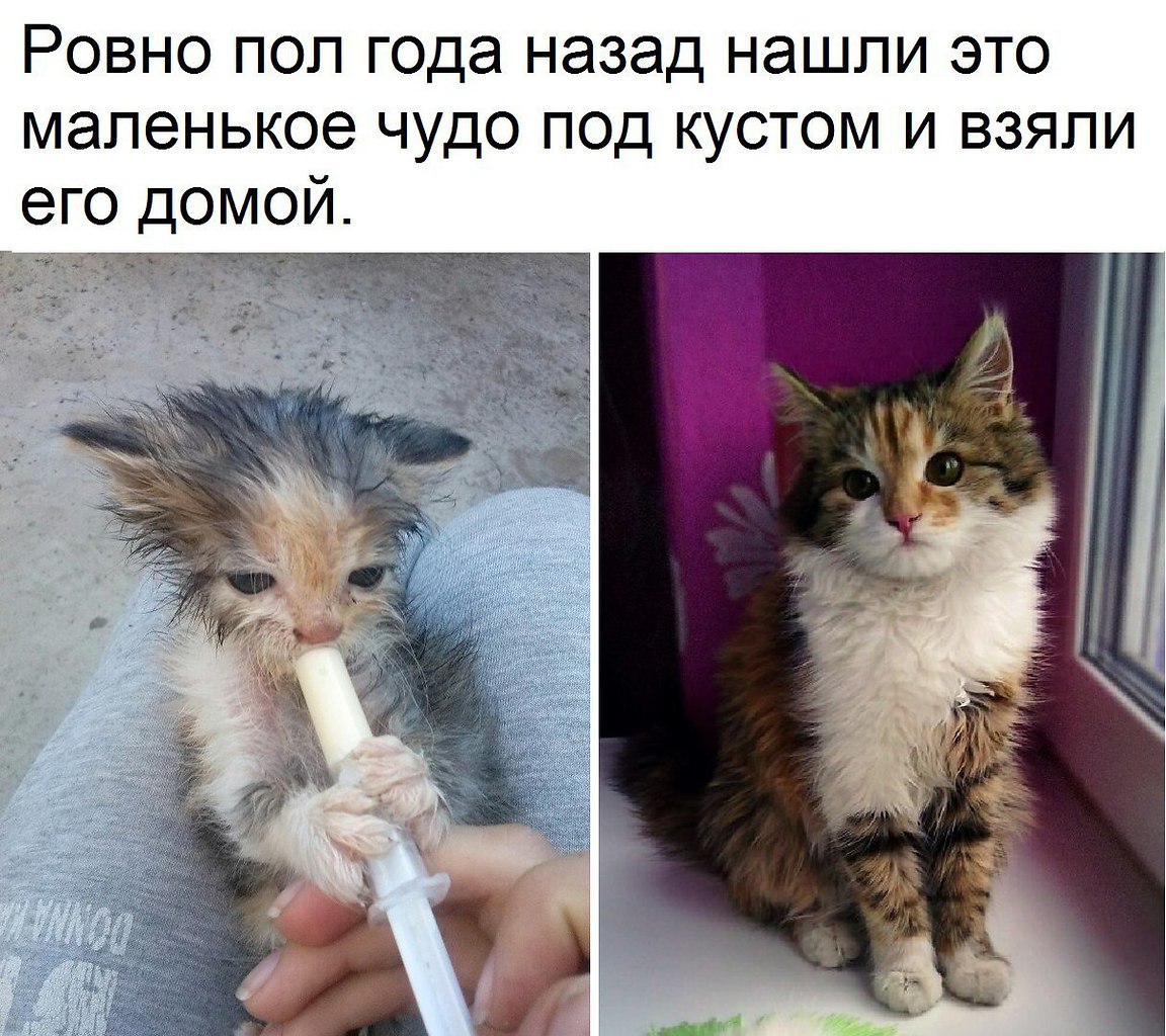 ������� - 5 ������ 2017 � 20:09