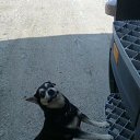  Vidmantas, , 52  -  1  2017    