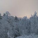 ���� �����, ��������, 46 ��� - ��������� 8 ������ 2016 � ������ ���� ����������