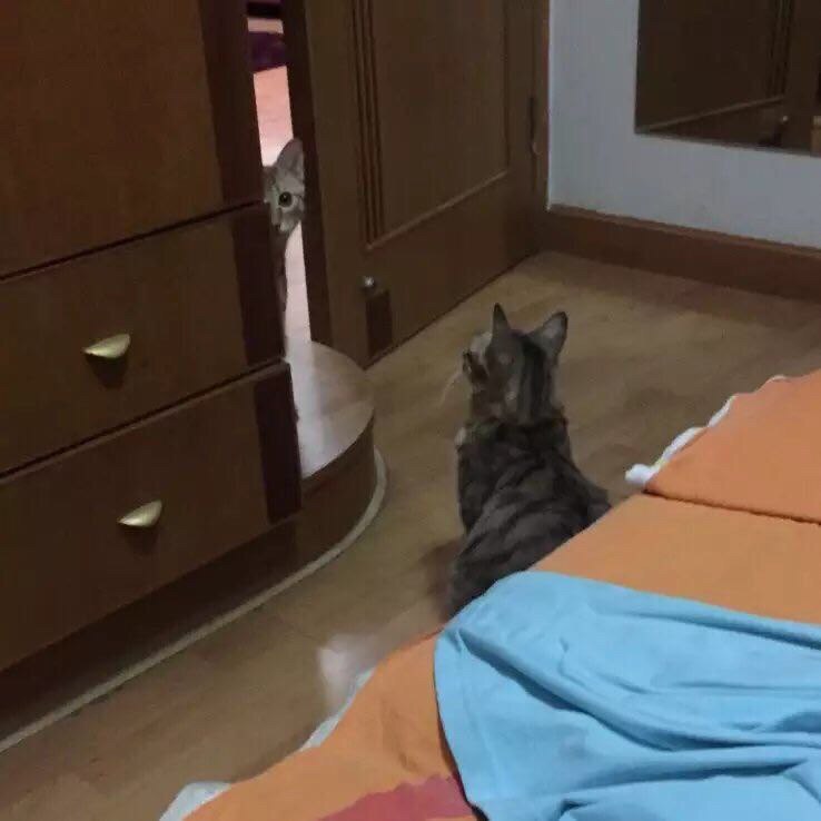 #_.      .  ,     ,     ... - 8