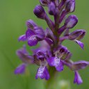  , --, 44  -  20  2016    - 2015