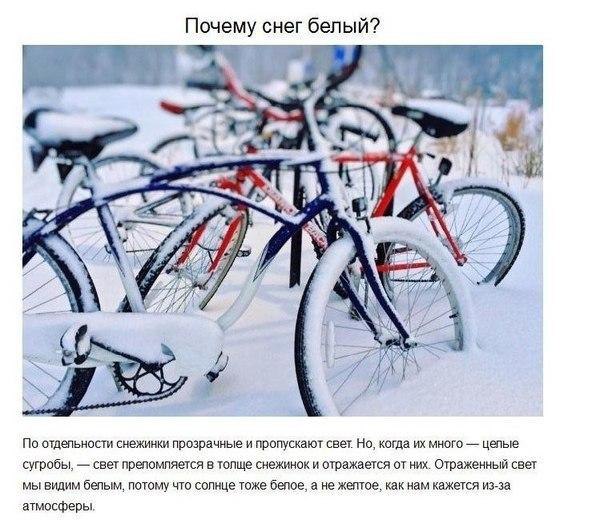    ,     - 5