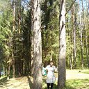 ���� �����, ���, 66 ��� - ��������� 28 ����� 2017 � ������ ������������ � ���� ������