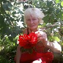 ���� ������, ����, 73 ���� - ��������� 20 ������ 2017 � ������ ���� ����������