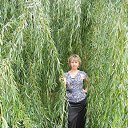 ���� �����, ����, 55 ��� - ��������� 5 ������ 2017 � ������ ���� ����������