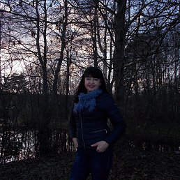 ���� ������, �����-���������, 63 ���� - ��������� 23 ������ 2016