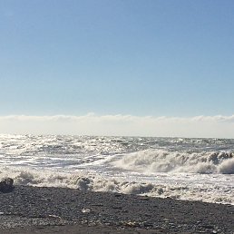 ���� �����, ���� - ��������� 23 ������ 2016