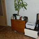  ,  , 60  -  22  2017   