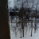 ���� ������� ������� ���������, ������ ��������, 41 ��� - ��������� 2 ������� 2016 � ������ ���� ����������