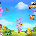 ���� �����, ������ - ��������� 8 ����� 2017 � ������ �������� �������-�������