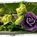 ���� ���, ����� - ��������� 8 ����� 2017 � ������ ������ ��������