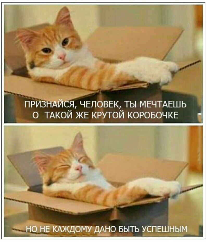   ... - 24  2017  18:24