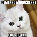 ���� �������, �����-���������, 58 ��� - ��������� 29 �������� 2016 � ������ ���� ����������