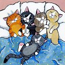 ���� �����, ������� - ��������� 14 ������� 2016 � ������ ������ ��������