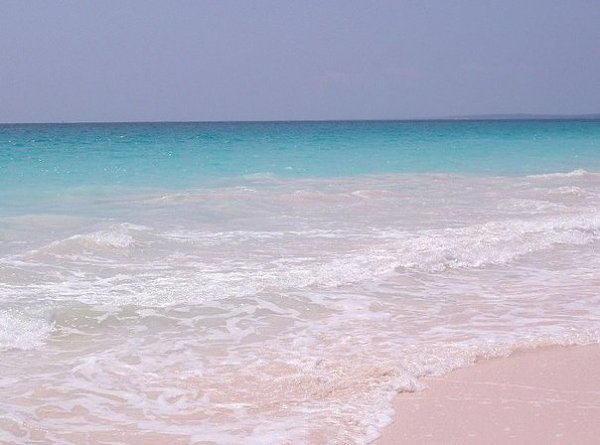 Один из самыx краcивых пляжей миpа: Pink Sands Beach, оcтров Хаpбoр, Багамскиe ocтpoва. И да, там ... - 4